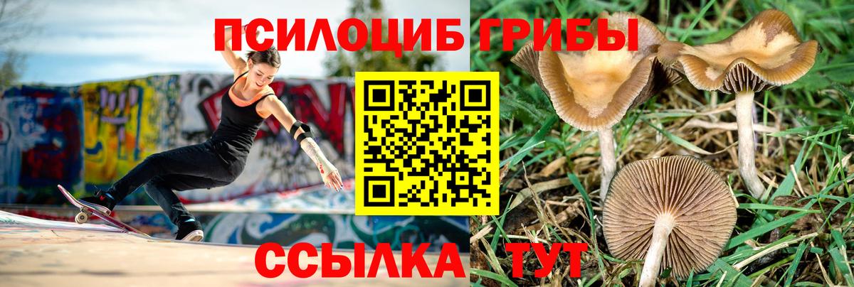Псилоцибиновые грибы ЛСД Черемхово
