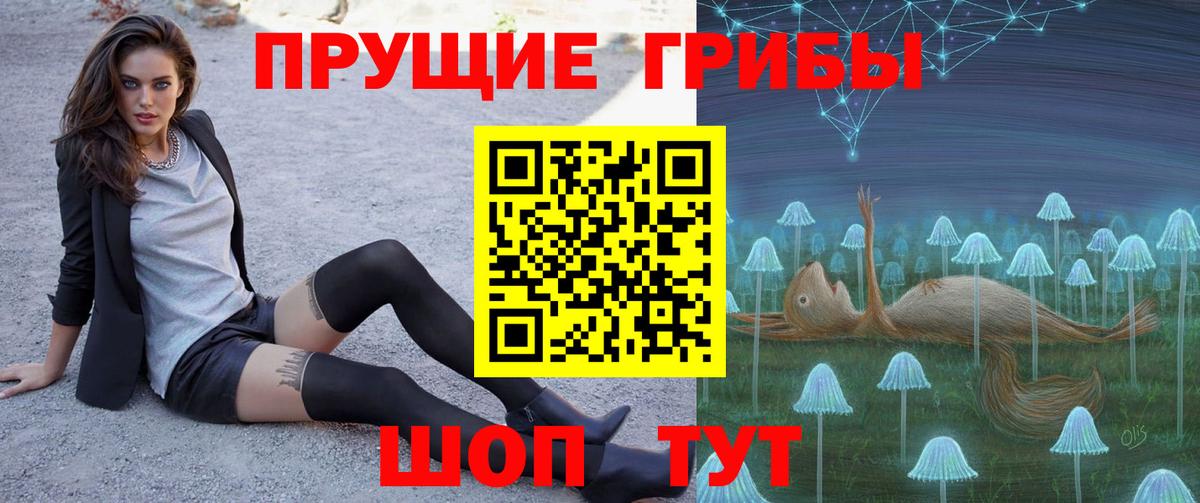 Черемхово  Псилоцибиновые грибы Cubensis  Вход с VPN 